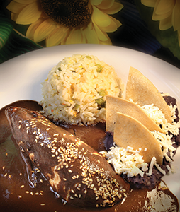 POLLO EN MOLE ESTILO OAXACA